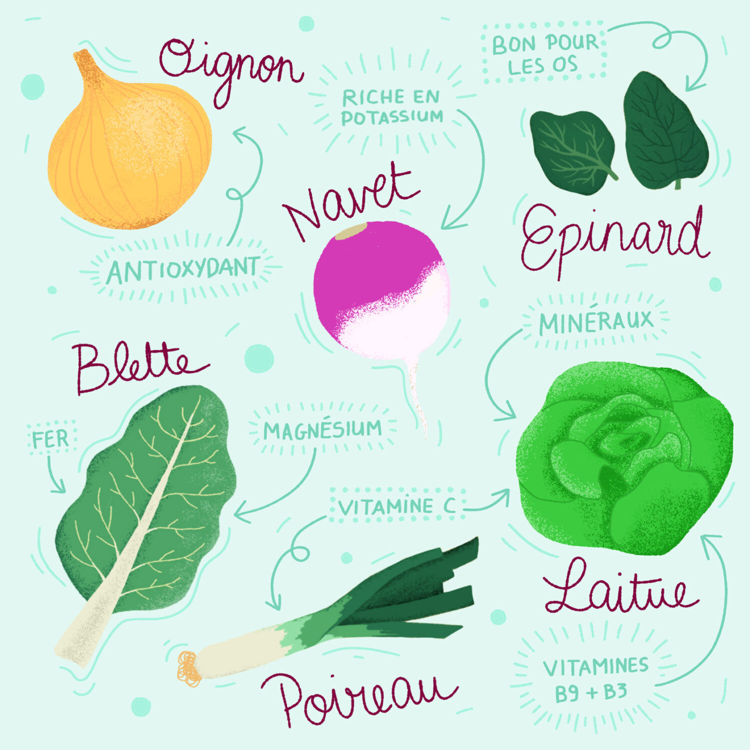 illustration des fruits et légumes de saison pour le mois de février réalisé CLEO studio, artiste-illustratrice